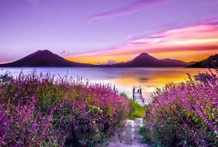 伊朗世界杯进球球员-伊朗世界杯进球球员，闪耀赛场的光芒